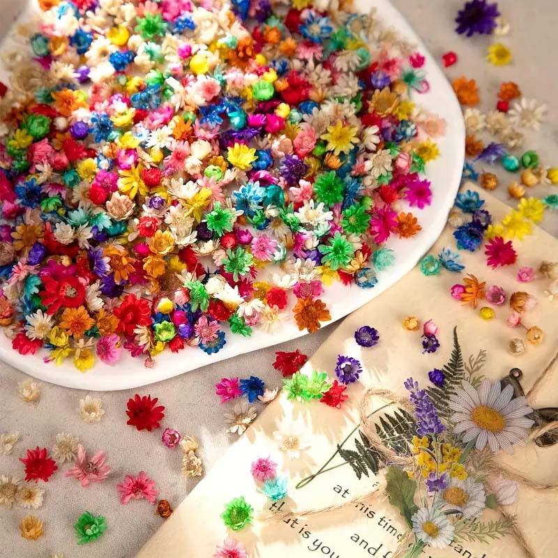 ดอกไม้หลากสีสันผสมสําหรับการปั - Resin Craft Ideas บทวิจารณ์และราคา